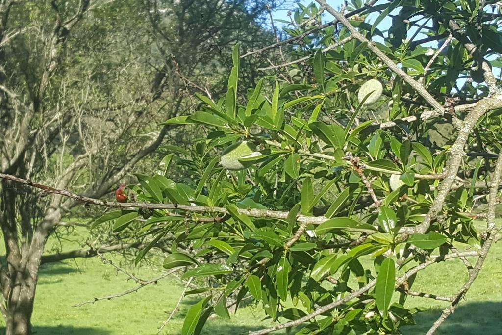 Charmant Appartement Neuf Le Taoume Marsylia Zewnętrze zdjęcie